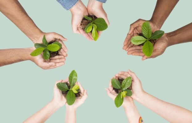 Cultura Organizacional e Valores Sustentáveis