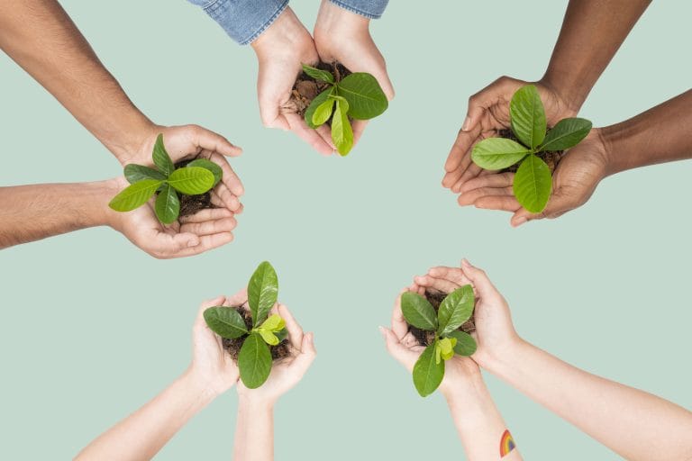 Cultura Organizacional e Valores Sustentáveis